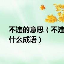 不违的意思（不违什么什么成语）