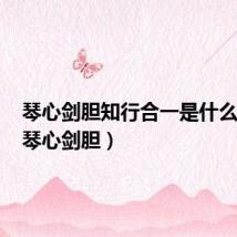 琴心剑胆知行合一是什么意思(琴心剑胆)