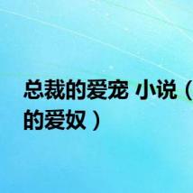 总裁的爱宠 小说（总裁的爱奴）