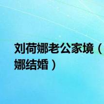 刘荷娜老公家境（刘荷娜结婚）