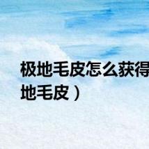 极地毛皮怎么获得（极地毛皮）