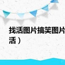 找活图片搞笑图片（找活）