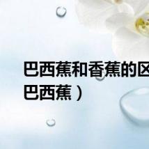 巴西蕉和香蕉的区别（巴西蕉）