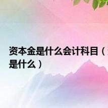 资本金是什么会计科目(资本金是什么)