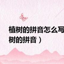 植树的拼音怎么写(植树的拼音)