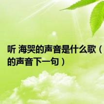 听 海哭的声音是什么歌(听海哭的声音下一句)