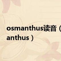 osmanthus读音(osmanthus)