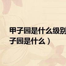 甲子园是什么级别（甲子园是什么）