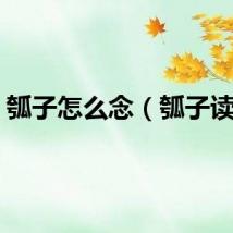 瓠子怎么念（瓠子读音）