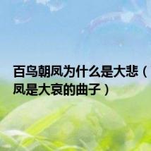 百鸟朝凤为什么是大悲(百鸟朝凤是大哀的曲子)
