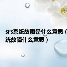 srs系统故障是什么意思(abs系统故障什么意思)