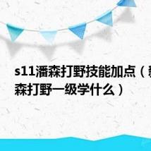 s11潘森打野技能加点(新版潘森打野一级学什么)