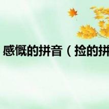感慨的拼音（捡的拼音）