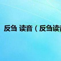 反刍 读音（反刍读音）