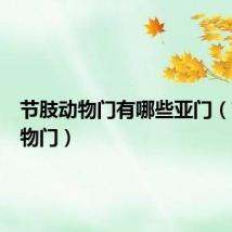 节肢动物门有哪些亚门（节肢动物门）