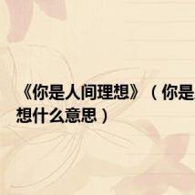《你是人间理想》(你是人间理想什么意思)