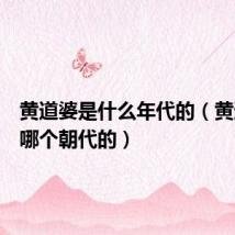 黄道婆是什么年代的(黄道婆是哪个朝代的)