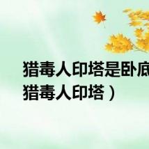 猎毒人印塔是卧底吗（猎毒人印塔）