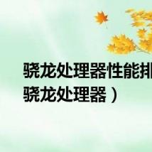 骁龙处理器性能排行（骁龙处理器）