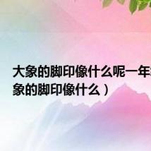 大象的脚印像什么呢一年级（大象的脚印像什么）