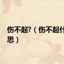伤不起?（伤不起什么意思）