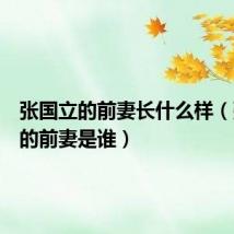 张国立的前妻长什么样(张国立的前妻是谁)
