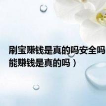 刷宝赚钱是真的吗安全吗(刷宝能赚钱是真的吗)