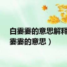 白霎霎的意思解释（白霎霎的意思）