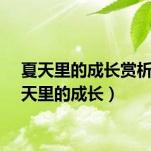 夏天里的成长赏析（夏天里的成长）