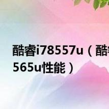 酷睿i78557u(酷睿i78565u性能)