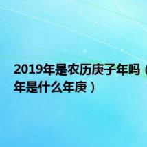 2019年是农历庚子年吗（2019年是什么年庚）