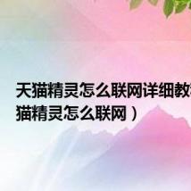 天猫精灵怎么联网详细教程(天猫精灵怎么联网)