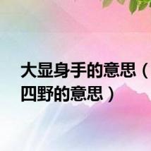 大显身手的意思（香飘四野的意思）
