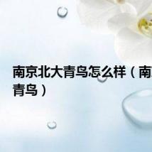 南京北大青鸟怎么样（南京北大青鸟）