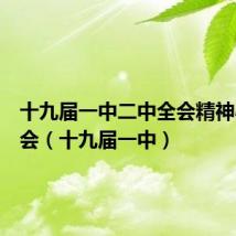 十九届一中二中全会精神心得体会(十九届一中)