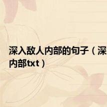 深入敌人内部的句子（深入敌人内部txt）
