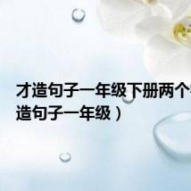 才造句子一年级下册两个字（才造句子一年级）