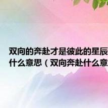 双向的奔赴才是彼此的星辰大海是什么意思(双向奔赴什么意思)