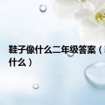 鞋子像什么二年级答案（鞋子像什么）