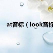 at音标(look音标)