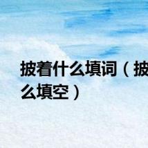披着什么填词（披着什么填空）