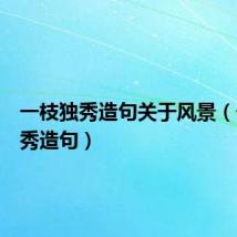 一枝独秀造句关于风景(一枝独秀造句)