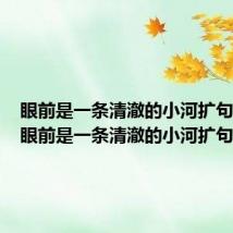 眼前是一条清澈的小河扩句20字(眼前是一条清澈的小河扩句)