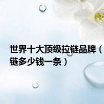 世界十大顶级拉链品牌(ykk拉链多少钱一条)