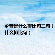乡音是什么排比句三句(乡音是什么排比句)
