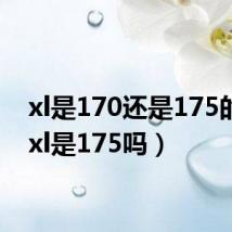 xl是170还是175的码(xl是175吗)