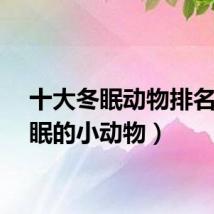 十大冬眠动物排名（冬眠的小动物）