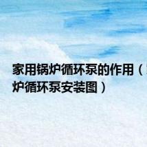 家用锅炉循环泵的作用（家用锅炉循环泵安装图）