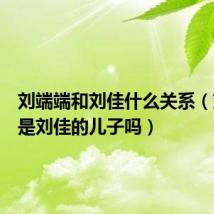 刘端端和刘佳什么关系（刘端端是刘佳的儿子吗）