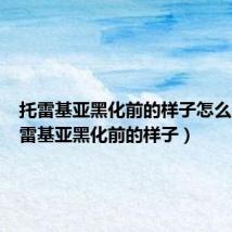 托雷基亚黑化前的样子怎么画（托雷基亚黑化前的样子）